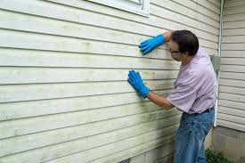 Trusted Labadieville, LA Siding Experts